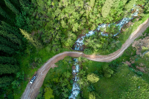 Forêt de pins d'en haut, saison printanière, route forestière et rivière