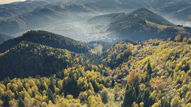 Forêt de pins verts aériens sur les crêtes des montagnes automne personne nature paysage verdure herbe à