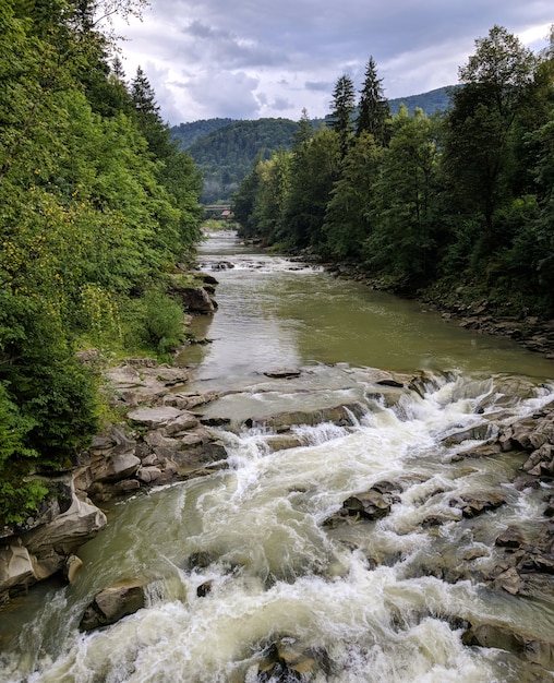 Forêt et rivière de montagne orageuse