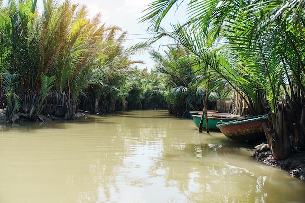 Forêt de rivière de noix de coco avec des bateaux de panier un Vietnamien unique au village de Cam thanh Point de repère et populaire pour les attractions touristiques à Hoi An Concepts de voyage au Vietnam et en Asie du Sud-Est