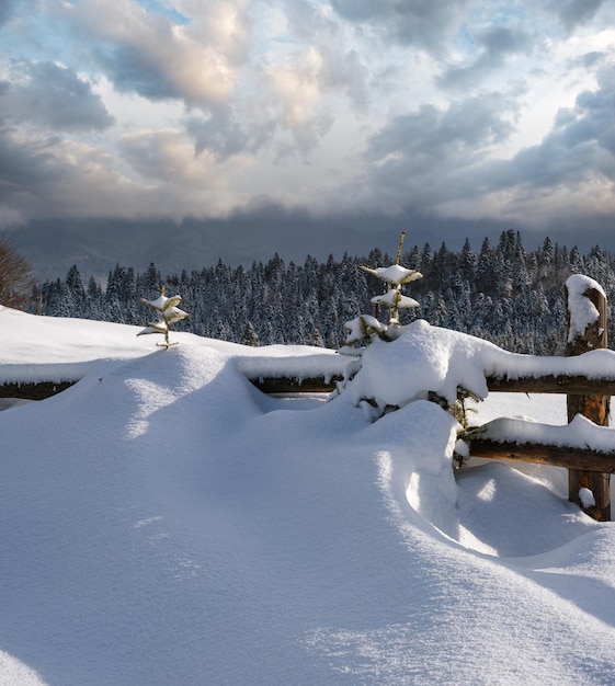 Forêt de sapins d'hiver enneigé de montagne alpine et dérives de neige près d'une clôture en bois sur la route de campagne secondaire
