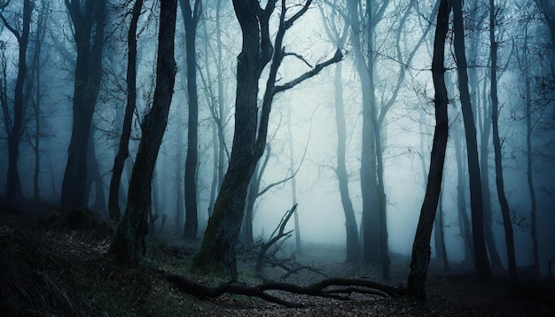 Forêt sombre avec des arbres morts dans le brouillard Décor d'horreur mystérieux Atmosphère mystique