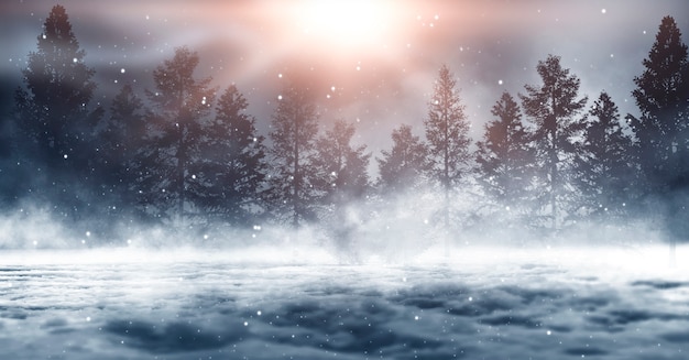 Forêt sombre d'hiver, paysage enneigé avec sapins.