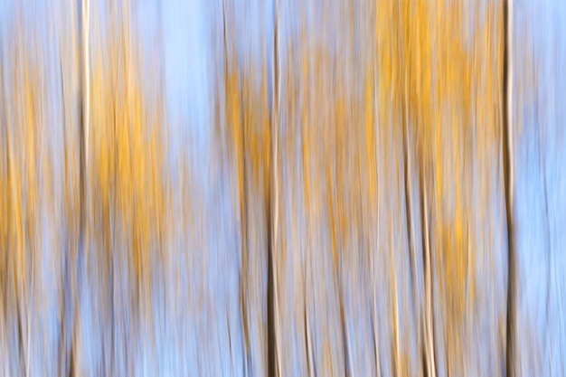 Forêt de texture automnale et fond abstrait pittoresque de ciel bleu avec flou de mouvement dans les tons de style vintage