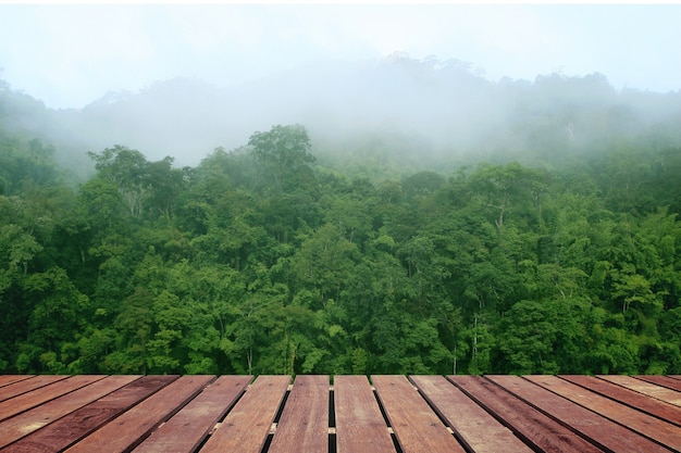 Forêt tropicale au-dessus d'un plancher en bois