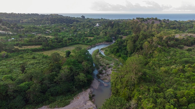 Forêt tropicale au pied du mont Seulawah Agam Aceh province