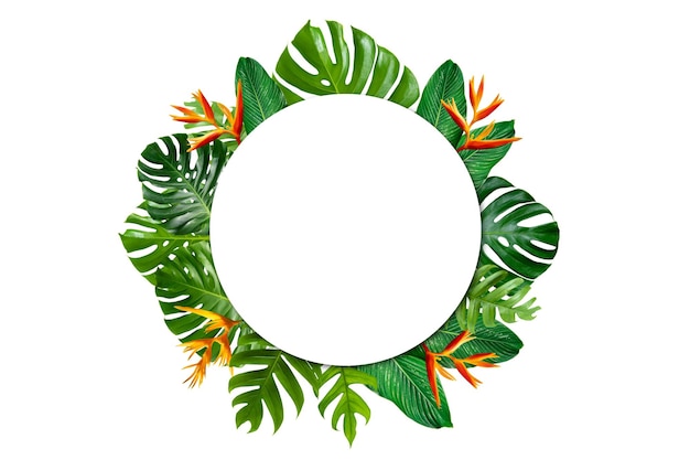 Forêt tropicale avec des feuilles et des fleurs entourant un cadre de cercle blanc sur fond blanc