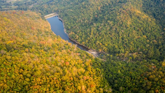 Forêt tropicale humide aux couleurs de l'automne et vue aérienne de la saison des barrages naturels