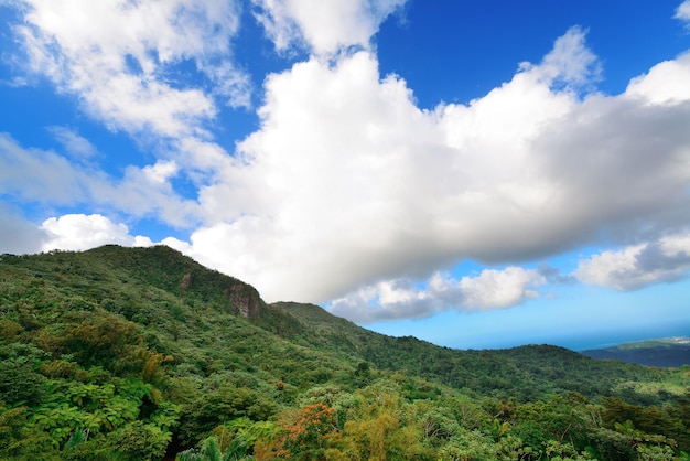 Forêt tropicale humide à San Juan