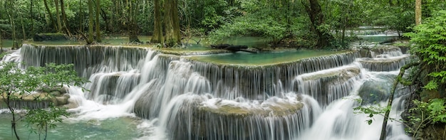 forêt tropicale rurale au barrage de Srinakarin