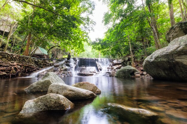 Forêt tropicale tropicale cascade Huai yang dans le parc national