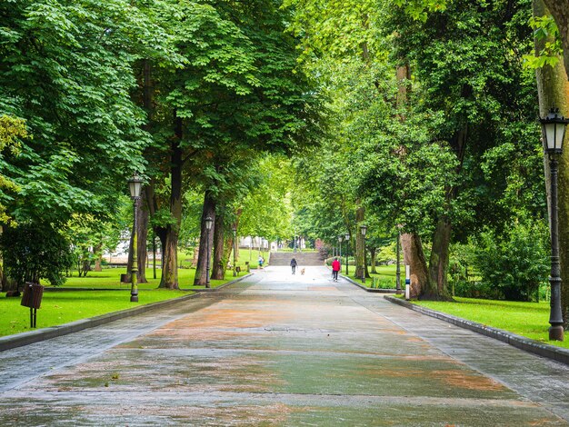 Photo forêt urbaine dans le parc