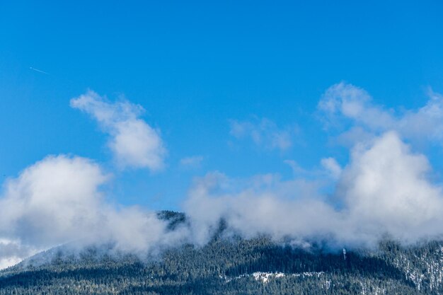 Forêt verte sur la montagne avec ciel bleu et paysage de nuages blancs