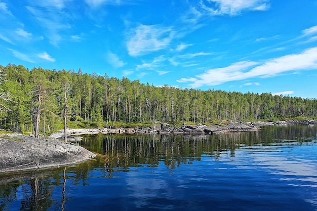 forêt vue de dessus du lac, paysage nature vue forêt, arrière-plan