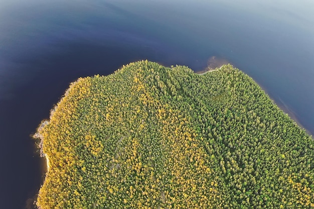 forêt vue de dessus du lac, paysage nature vue forêt, arrière-plan