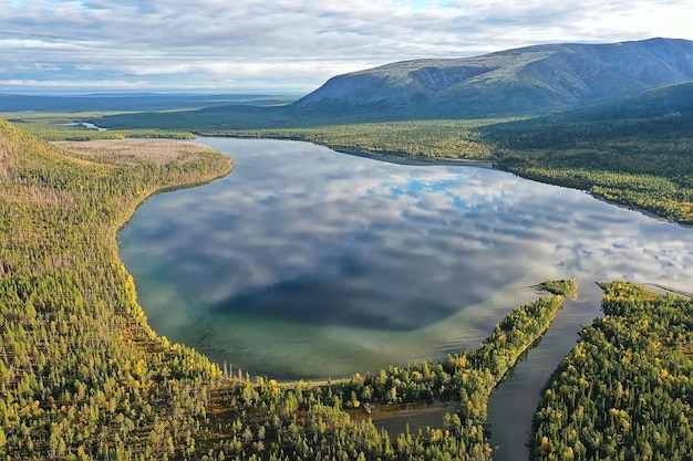 forêt vue de dessus du lac, paysage nature vue forêt, arrière-plan