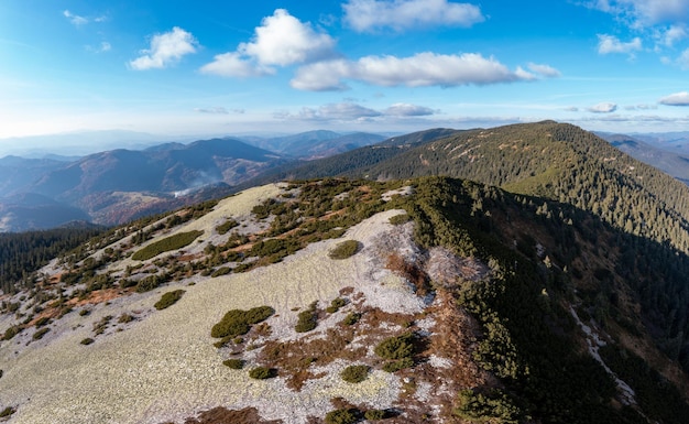 Forêts de conifères sur les pentes de haute montagne sous ciel bleu