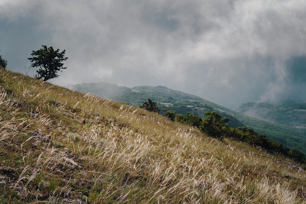 Forger sur les pentes des montagnes d'été