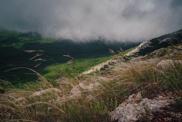 Forger sur les pentes des montagnes d'été