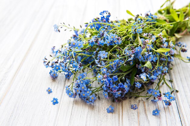 Forget-me-not fleurs sur bois blanc