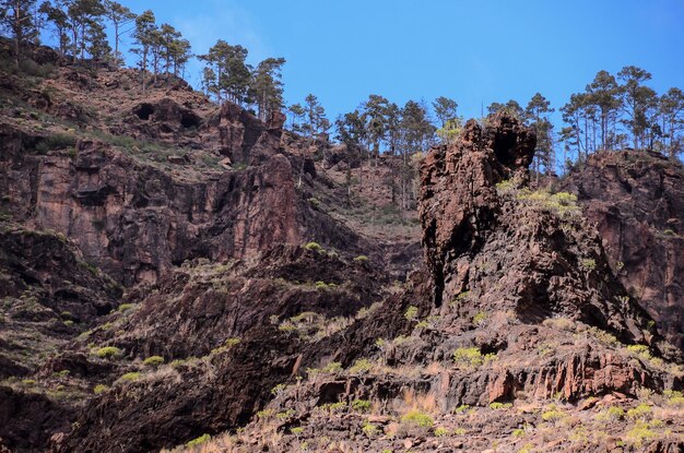 Formation basaltique de roche volcanique à Gran Canaria Îles Canaries