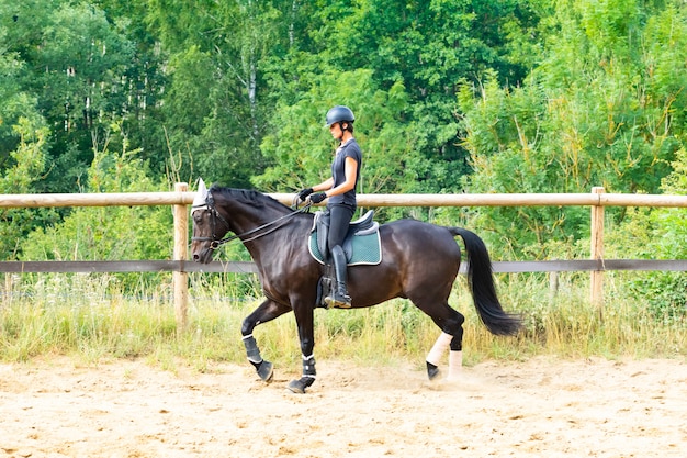 Formation d'une cavalière et de son cheval bai en dressage