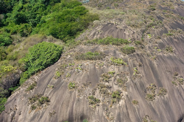 Photo formation d'escarpement rocheux mur rocheux avec des arbres