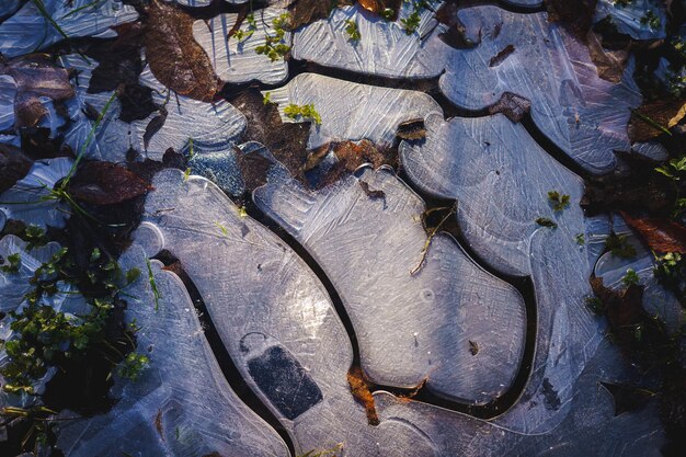 La formation de glace dans une flaque d'eau