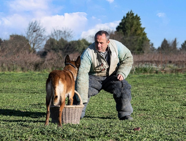 Formation de jeune berger belge dans la nature pour la sécurité