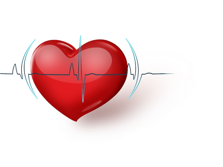 Photo formation médicale avec coeur rouge et pouls