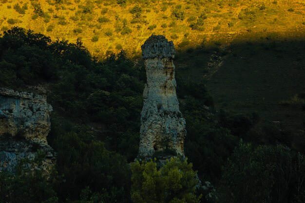 Photo une formation rocheuse au milieu d'une forêt