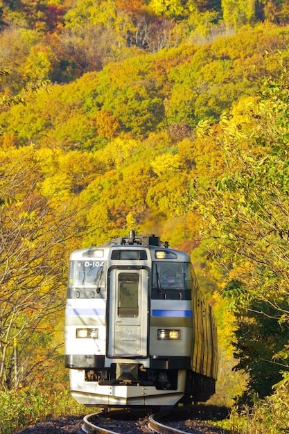 Formation sur le terrain à l'automne