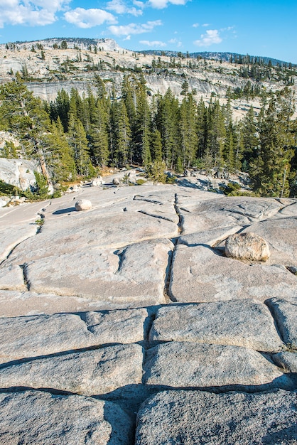 Formation unique de roches sur la pointe Olmsted dans le parc national de Yosemite