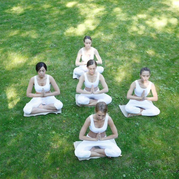 Photo formation de yoga au parc