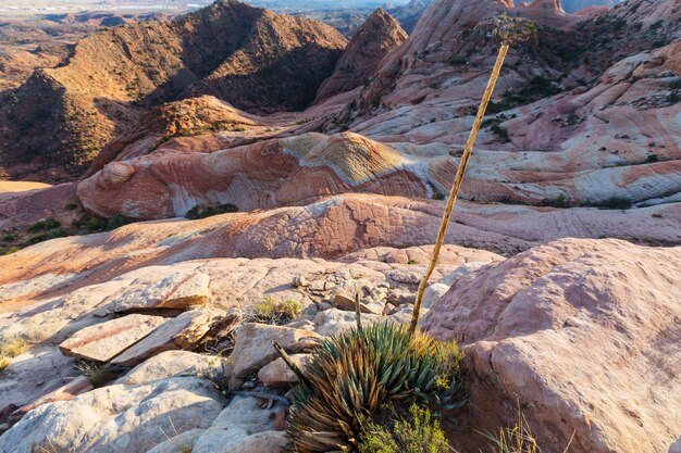 Formations de grès dans l'Utah, aux États-Unis. Appartements Yant