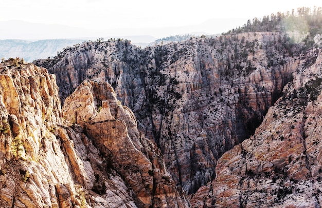 Formations de grès dans l'Utah, États-Unis