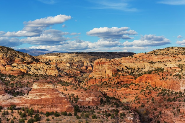 Formations de grès dans l'Utah, États-Unis