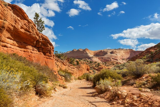 Formations de grès dans l'Utah, États-Unis