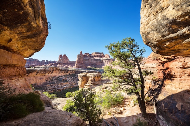 Formations de grès dans l'Utah, USA. Beaux paysages insolites.