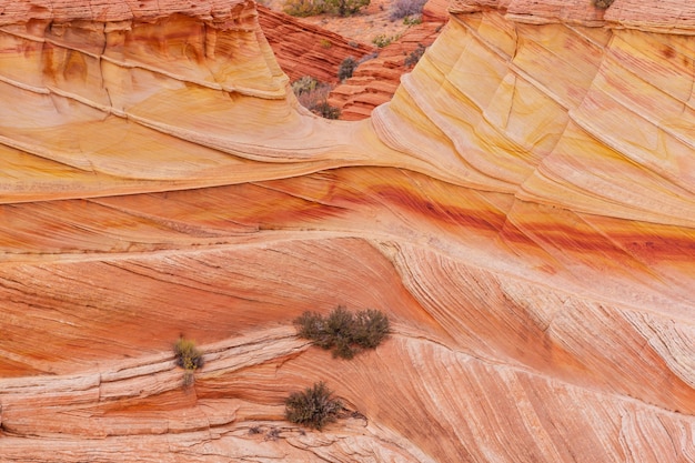 Formations de grès dans l'Utah, USA