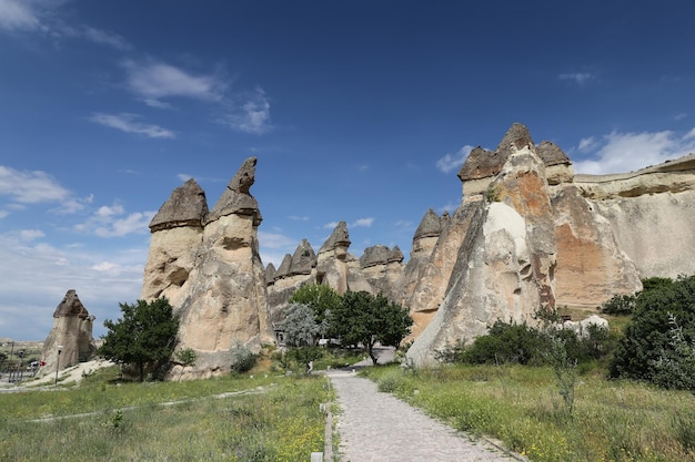 Formations rocheuses à Pasabag Monks Valley Cappadoce