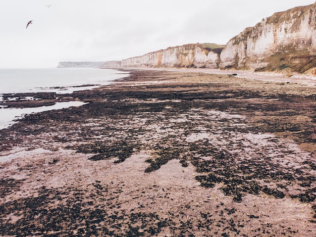 Formations rocheuses sur la plage contre le ciel