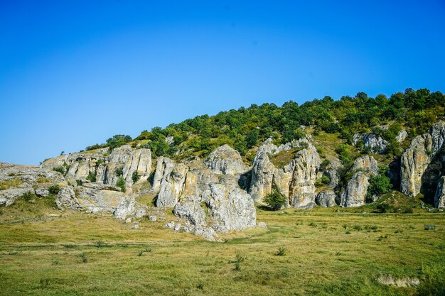 Formations de vieilles pierres dans les gorges de Dobrogea en Roumanie