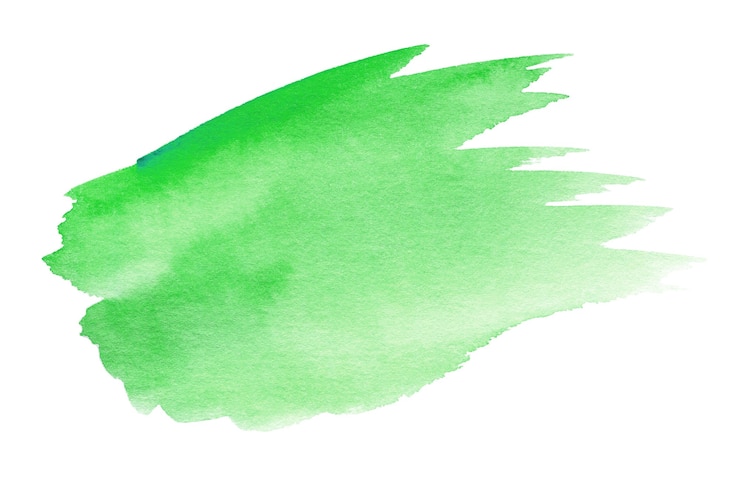 Photo forme aquarelle verte isolée sur blanc