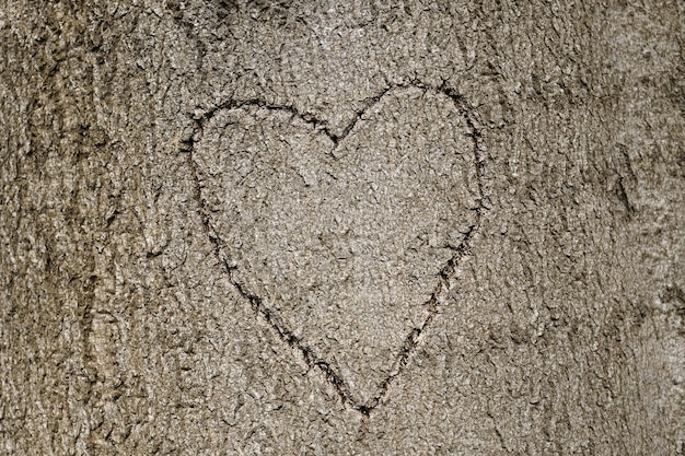 Forme de coeur découpée dans l'arbre