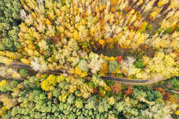 Forme de forêt d'automne colorée au-dessus avec une route vide capturée avec un drone Fond de paysage saisonnier naturel