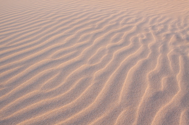 Des formes dans le sable