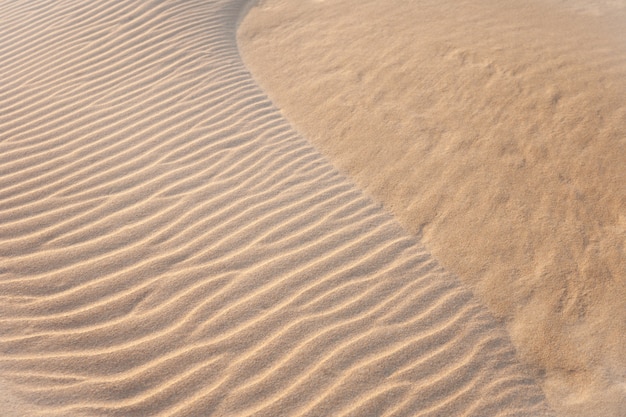 Des formes dans le sable