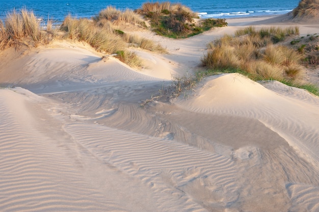 Des formes dans le sable