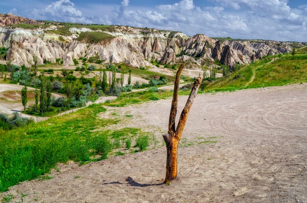 Formes fongiques impressionnantes de grès et de collines dans le canyon de la Cappadoce, province de Nevsehir, région d'Anatolie en Turquie, Asie. Beauté de fond de concept de nature.